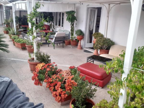 B&B GANAJ La terrazza di Ganaj BARI Bari